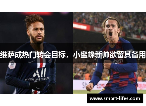 维萨成热门转会目标，小蜜蜂新帅欲留其备用